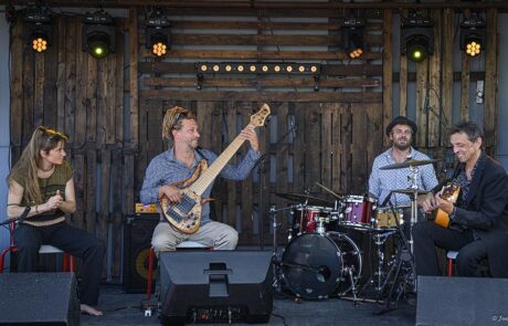 vignette1_Zn 250731 024