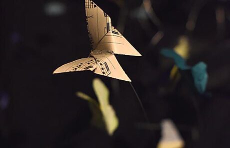 vignette_Horizon6_©Fabrice Demurger